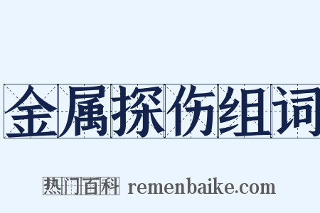 金属探伤组词是什么意思的图片